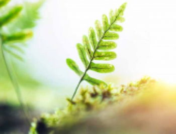 Cách xác định các bên liên quan theo ISO 14001: 2015