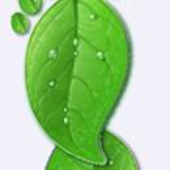 ISO 14006:2011 hướng tới việc giảm thiểu các tác động đến môi trường của sản phẩm và dịch vụ 