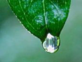  Tiến hành các cuộc đánh giá nội bộ để thúc đẩy cải tiến thực sự ISO 14001:2015